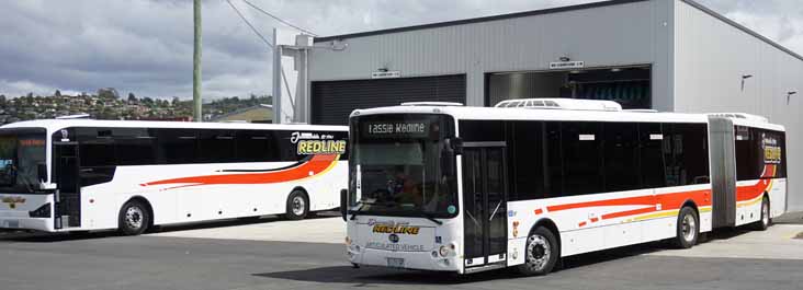 Tasmanian Redline Bonluck CityStar Artic 121